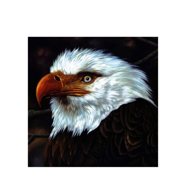 Mogwai - Hawk Is Hawling