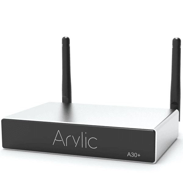 Arylic A30+