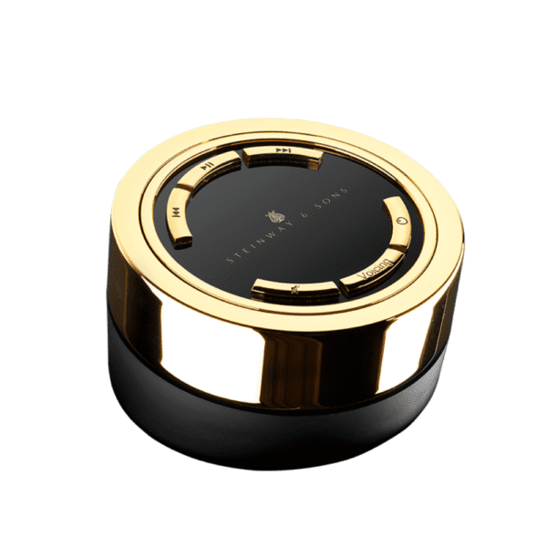 Steinway & Sons Remote Control