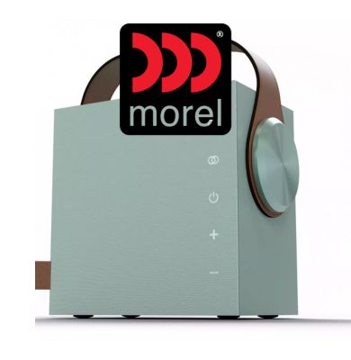 Morel